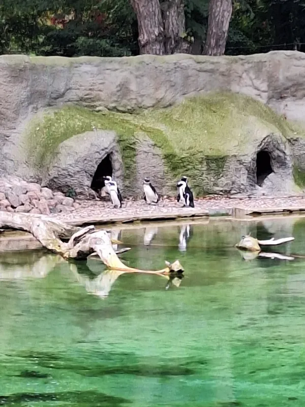 Orientarium ZOO Łódź